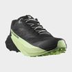 Picture of SALOMON PULSAR BLACK/BLACK/PATINA GREEN